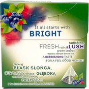 Lipton Goji & Blueberry pyramidi vihreä tee 20ps/28g